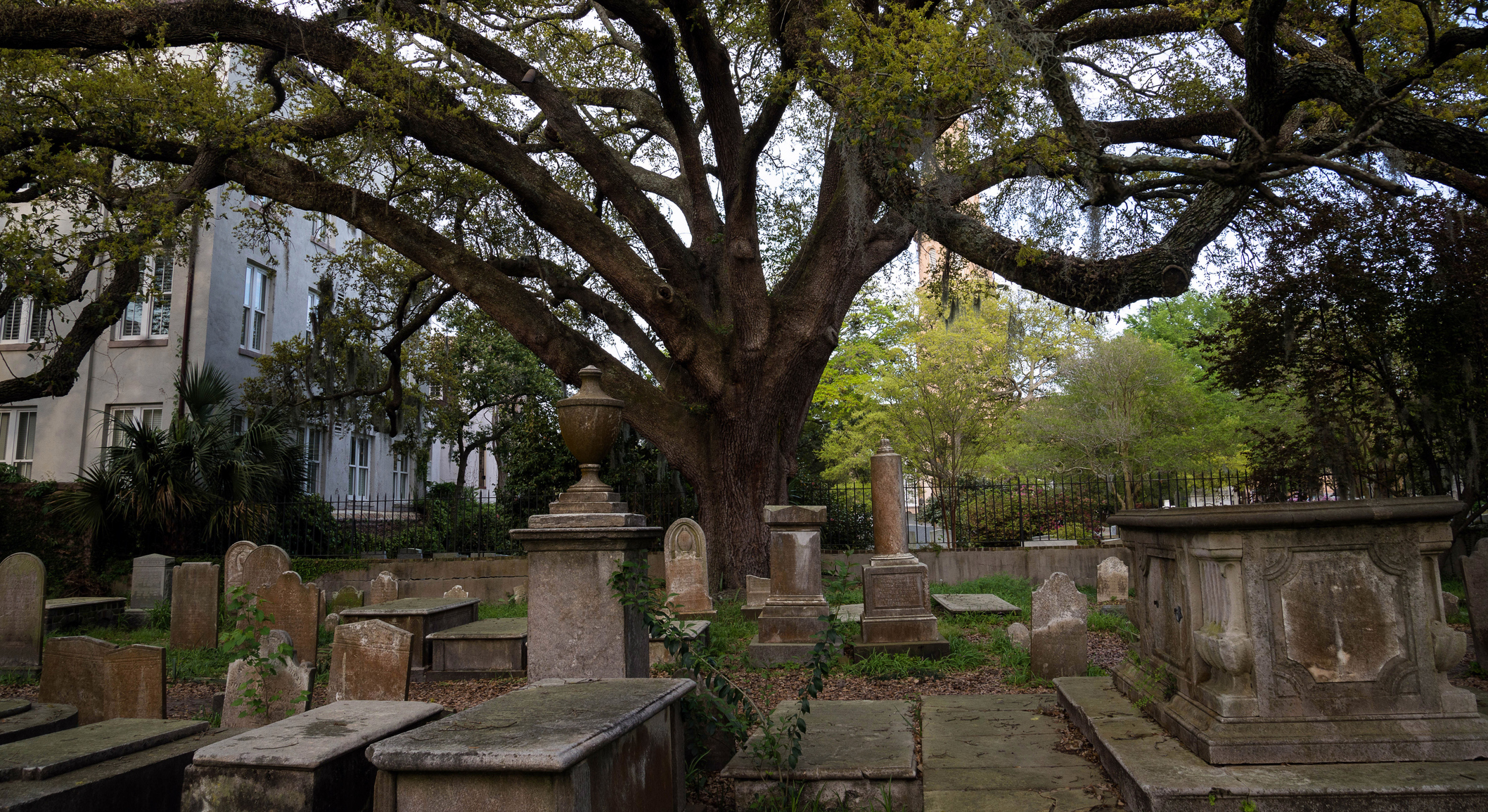 One of the alleyways you'll visit on certain Historic Cemetery Tour