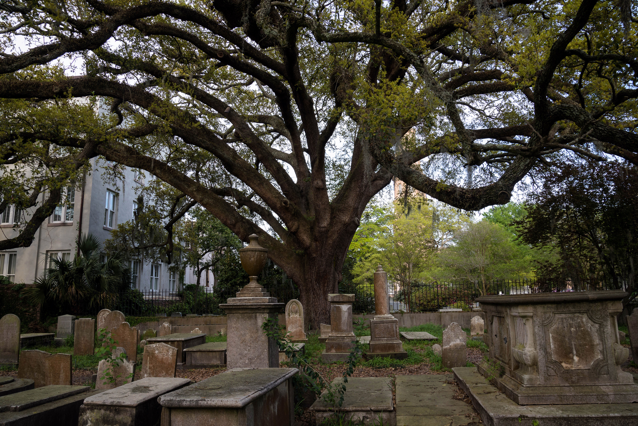 Historic Cemetery Tour in Charleston, South Carolina