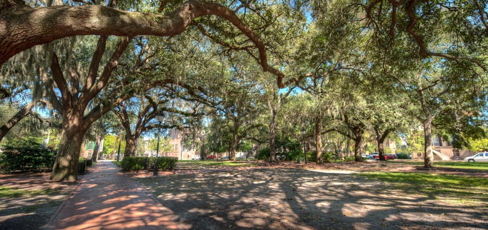 Slave Burials in Calhoun Square